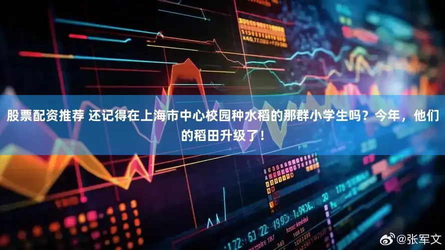 股票配资推荐 还记得在上海市中心校园种水稻的那群小学生吗？今年，他们的稻田升级了！
