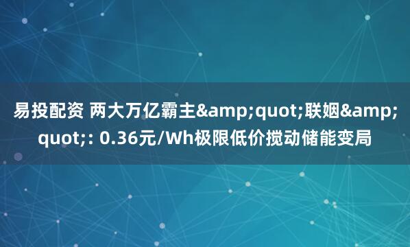 易投配资 两大万亿霸主&quot;联姻&quot;: 0.36元/Wh极限低价搅动储能变局